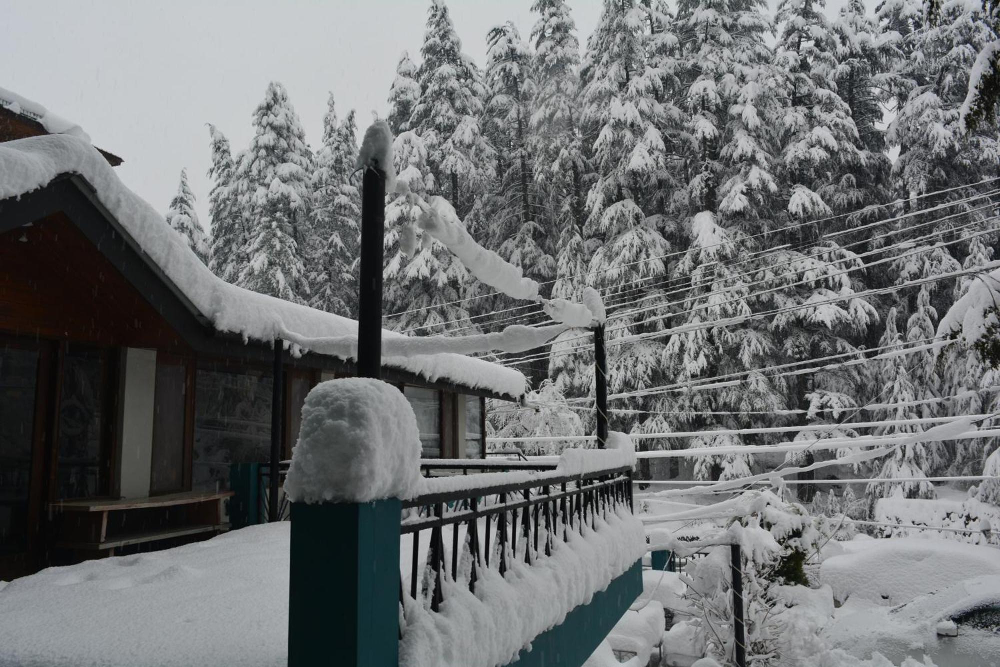 Hotel Neelgiri - Manali Diaries Extérieur photo